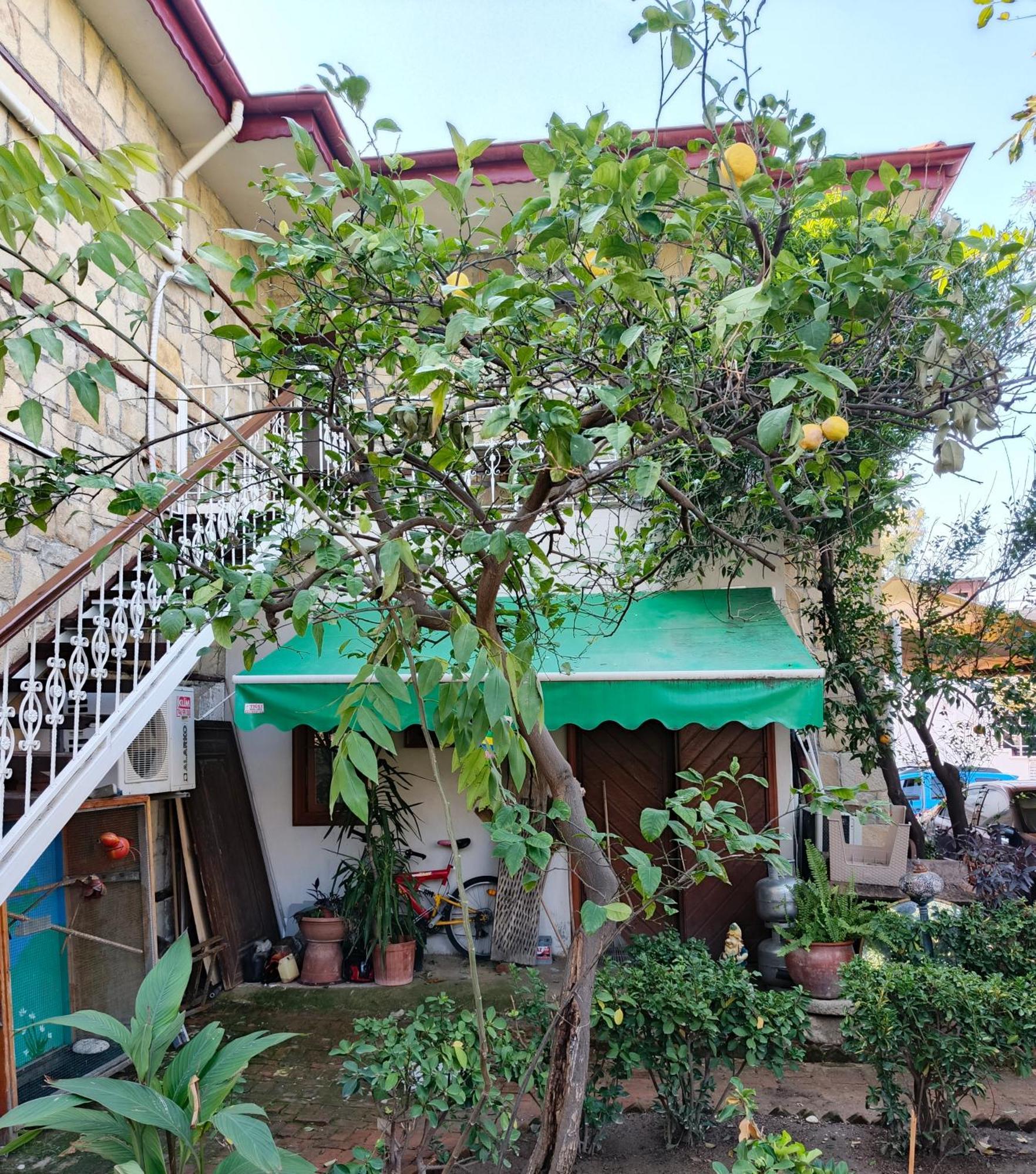 סייד Beach House Apartment מראה חיצוני תמונה